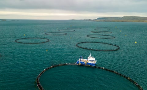 How do Australian aquaculture businesses manage worker safety?