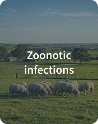 Card - zoonotic