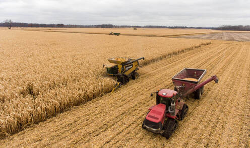 Does my agribusiness need a safety management system?