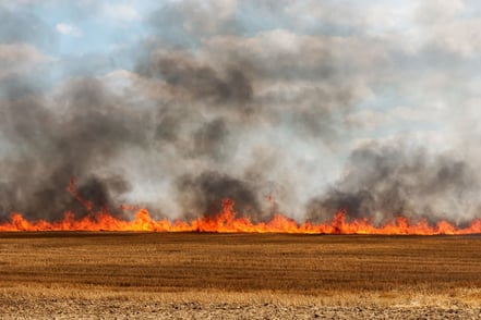 Don't get burnt out during Harvest - A plan for fire safety management
