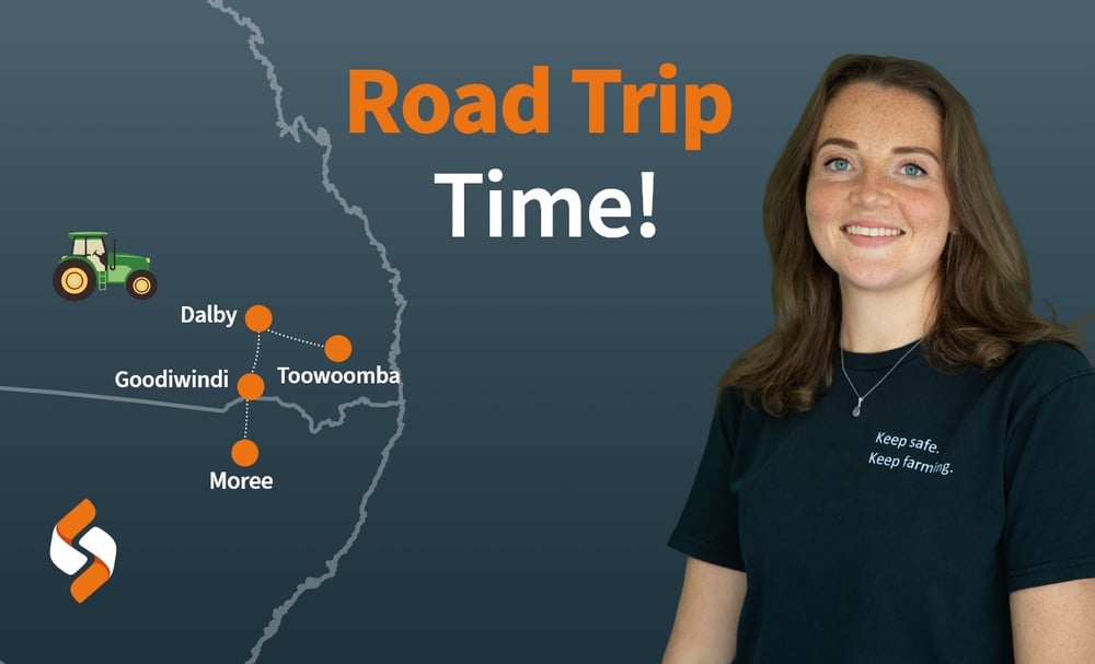 NSW-QLD-roadtrip-feature-image