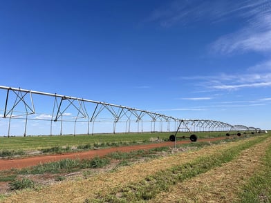 How Pardoo Wagyu Strengthened Safety Across an 800,000 Hectare Operation