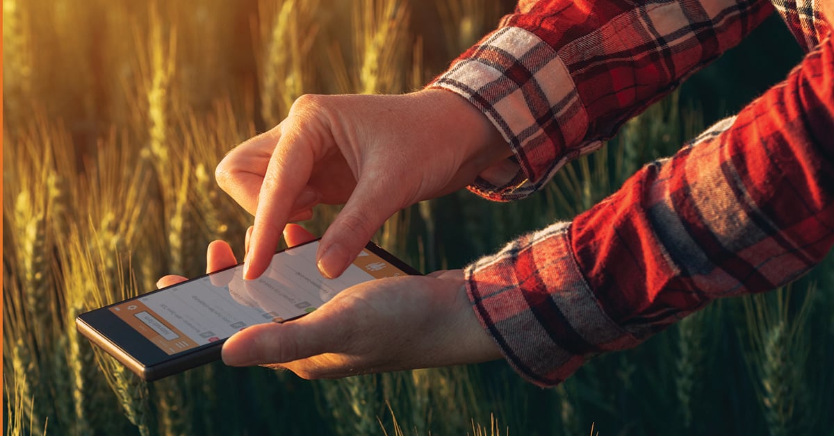 Farmer in a field with SAS on Phone