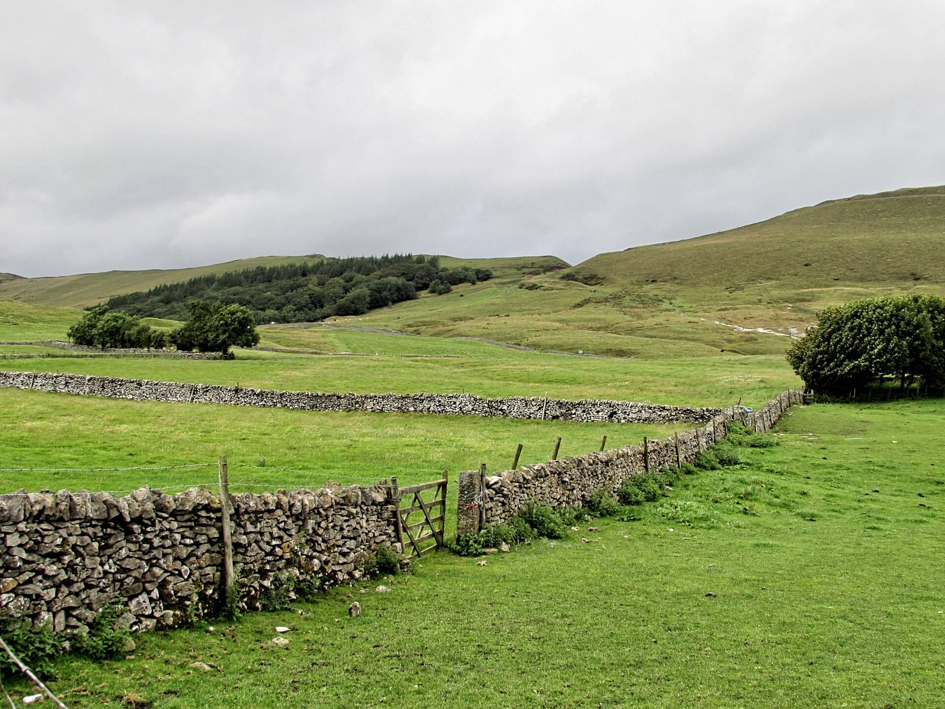 UK Farm - unsplash