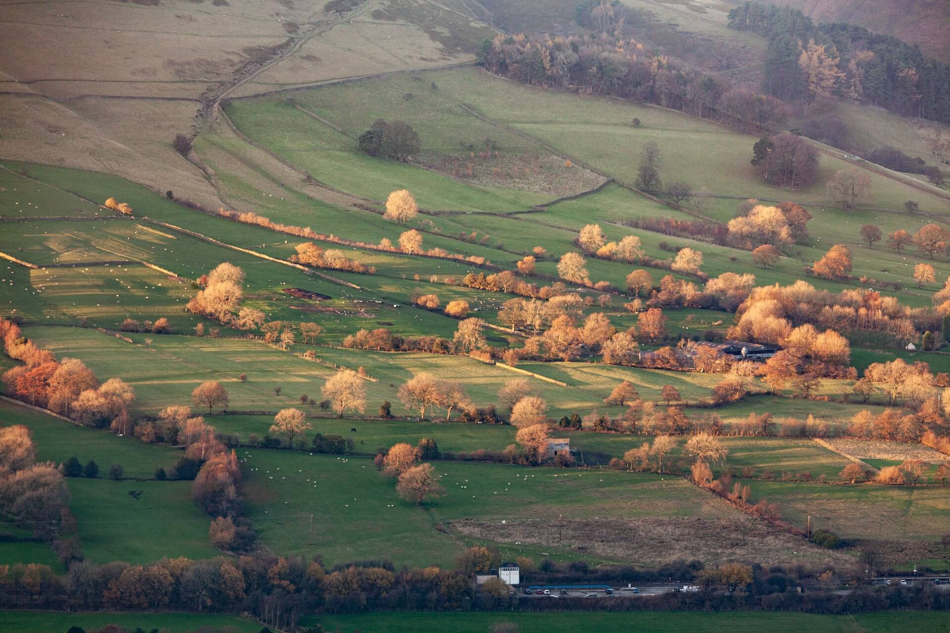 UK farm inspection - unsplash