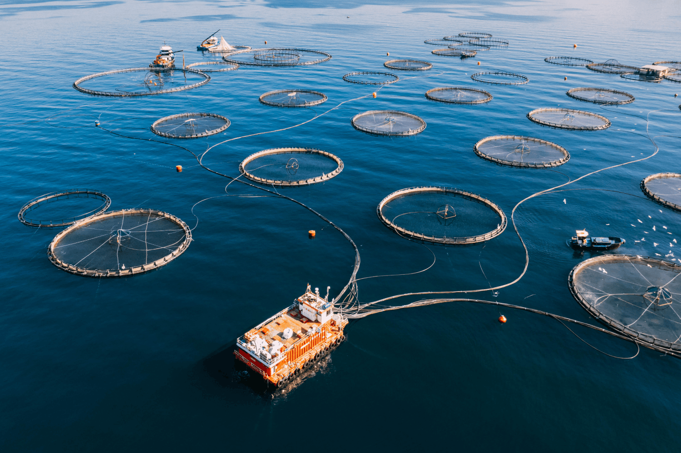 aquaculture-hero