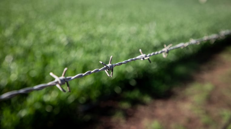 barbwire-fence
