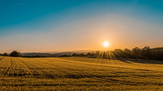5 Safety Tasks to Complete Before Spring Hits
