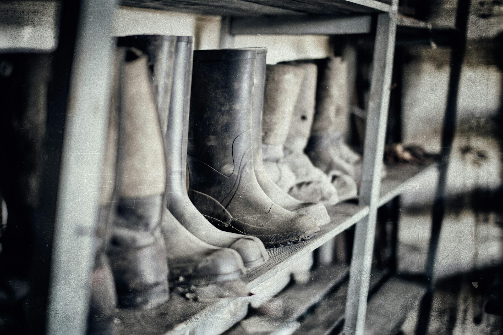 boots-footwear-biosecurity-unsplash