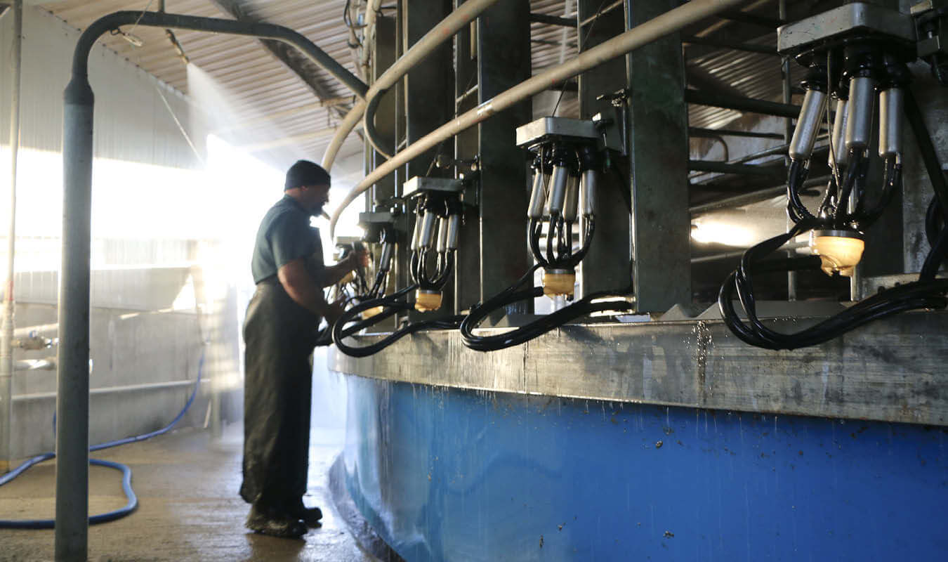 dairy - istock