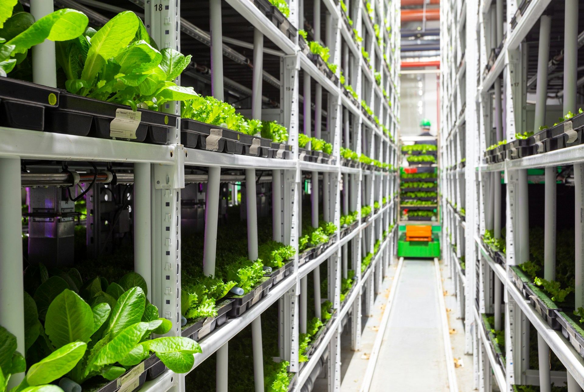 data-ai-farm-unsplash