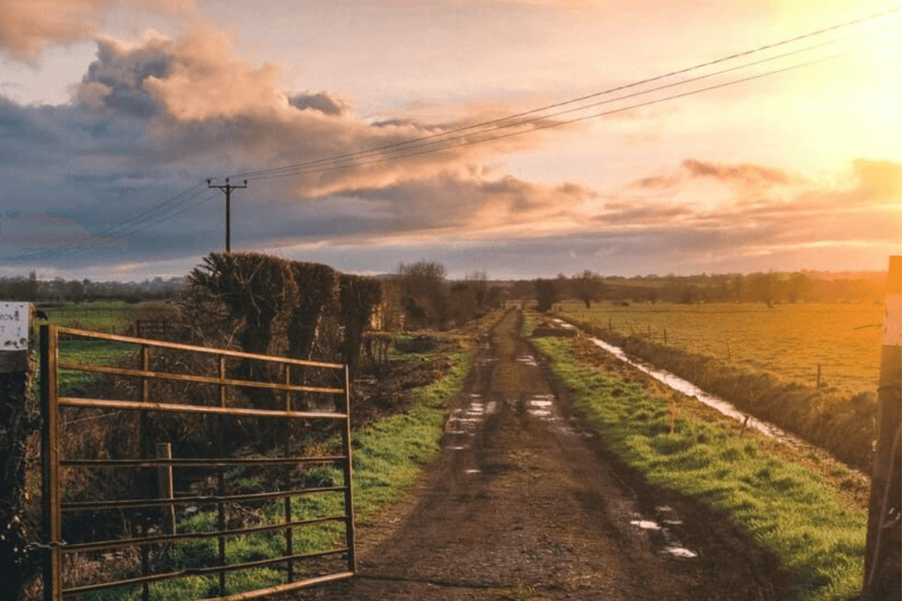 easy on the ear, gentle on mind - FSW blog-1
