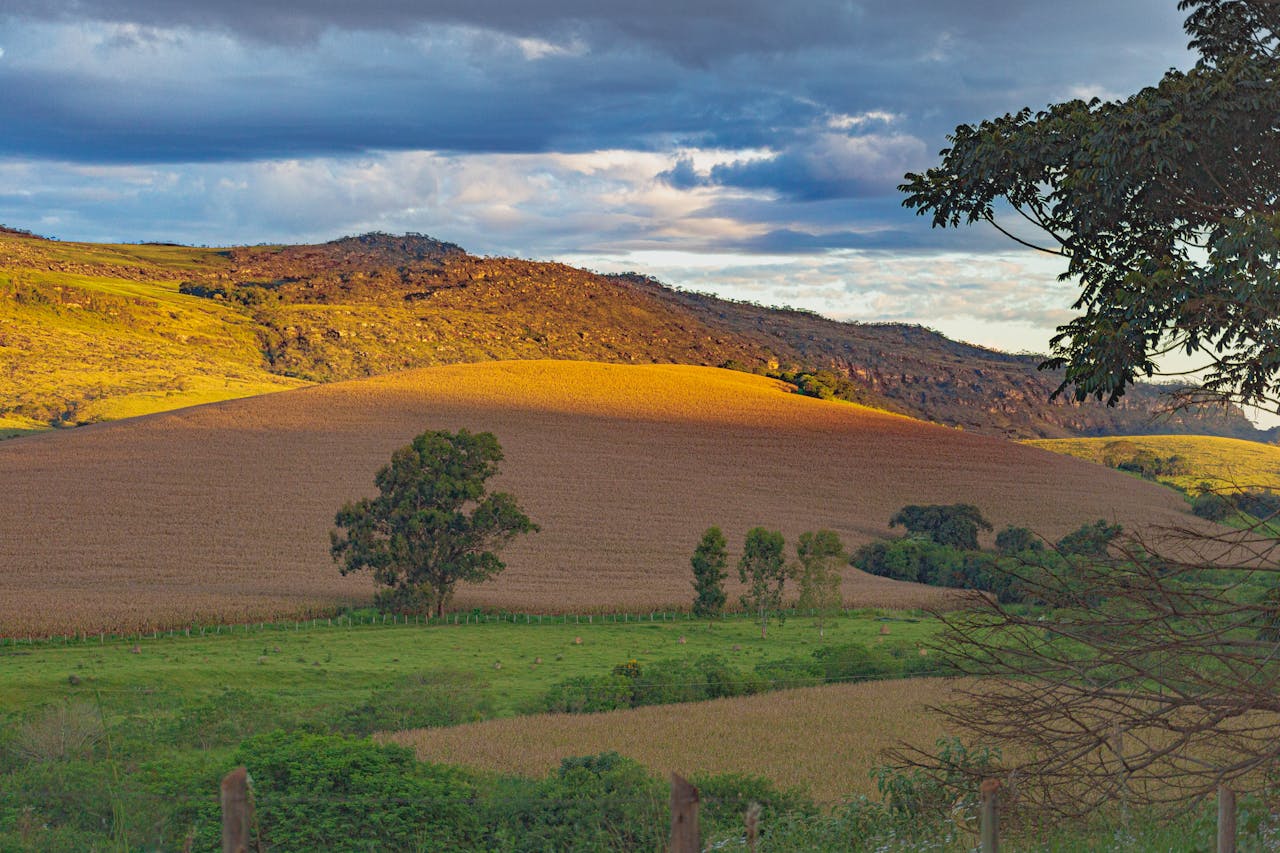 farm-terrain-hills