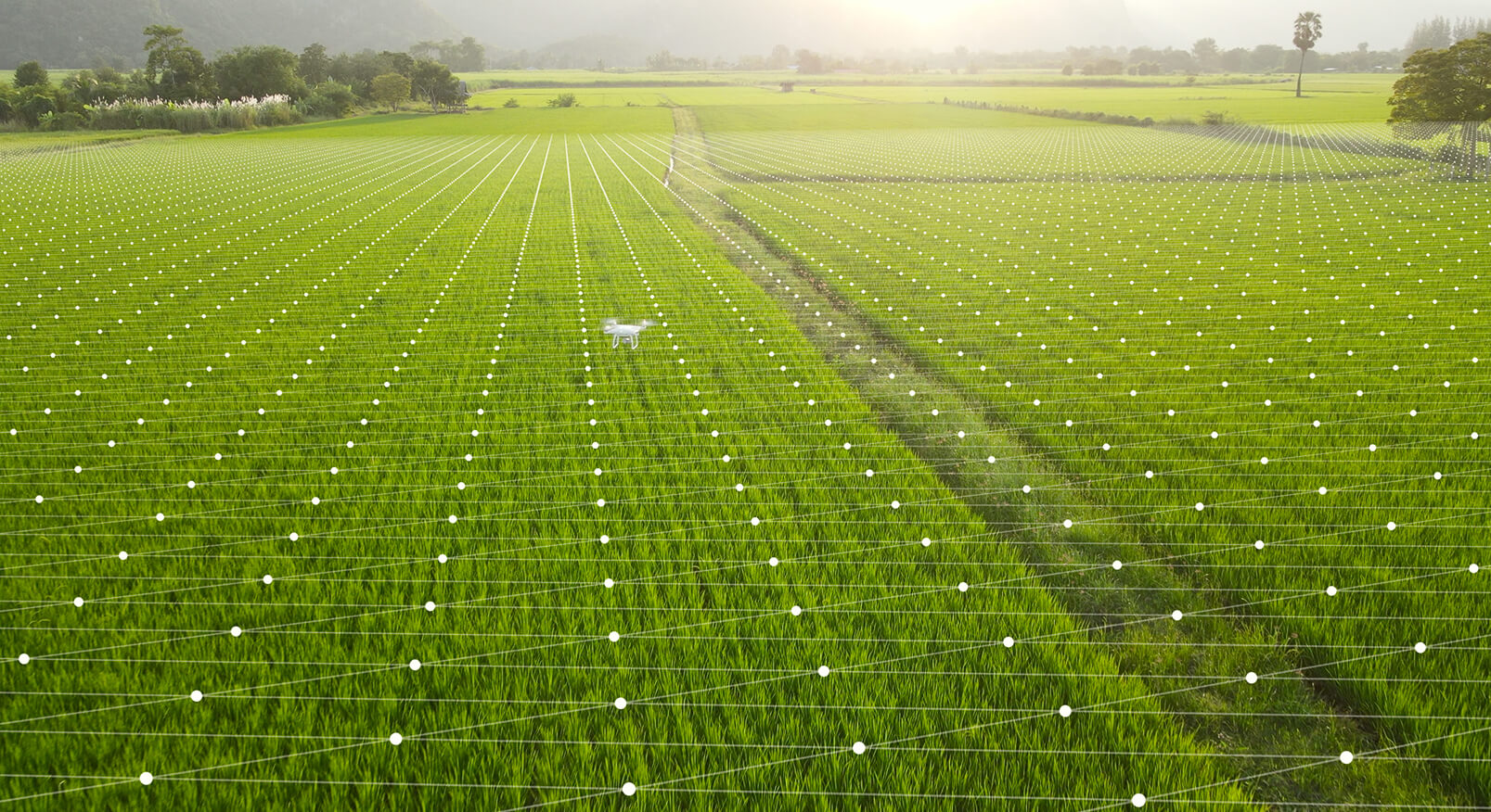 img-drone-field-session-insurance