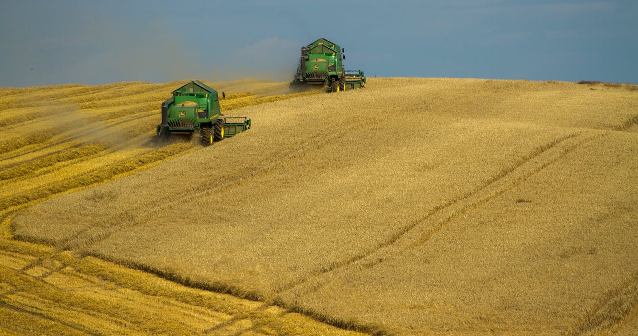 pexels - grains