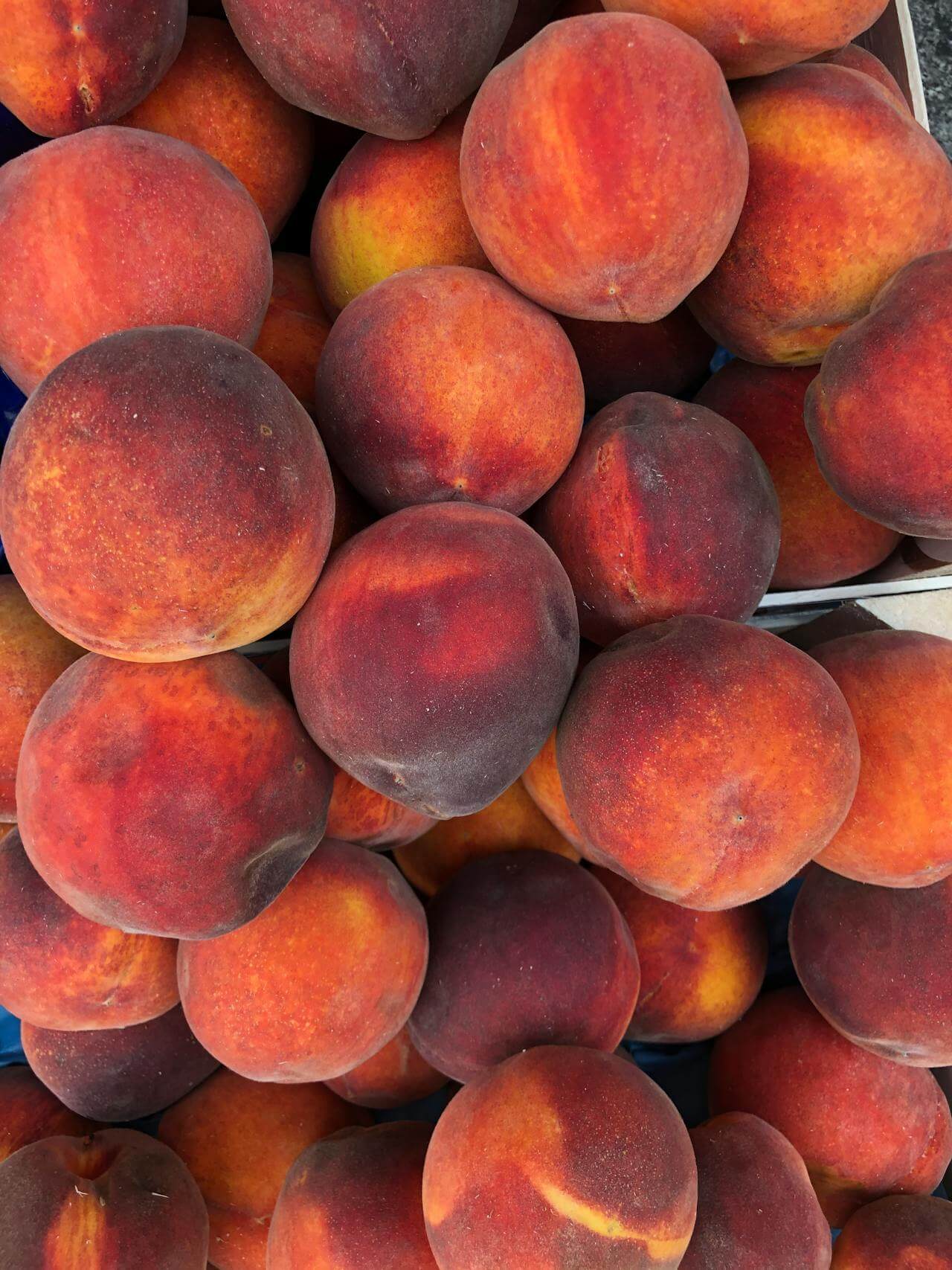 pexels-nectarines