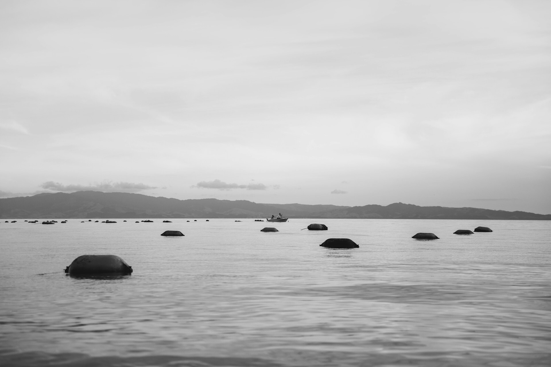 shrimp-farm-aquaculture-unsplash