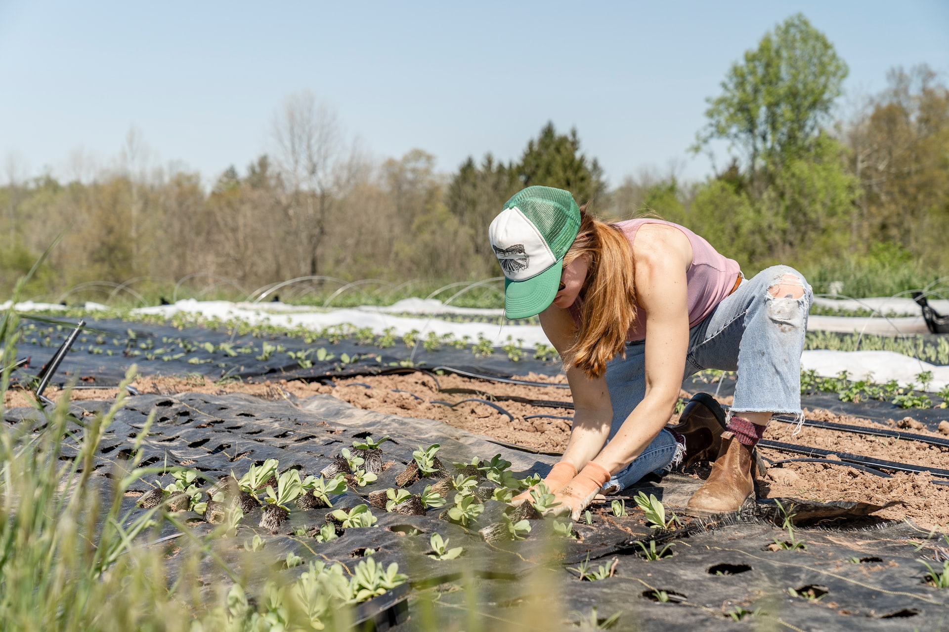 sustainable-planting