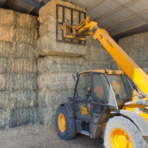 telehandler 1