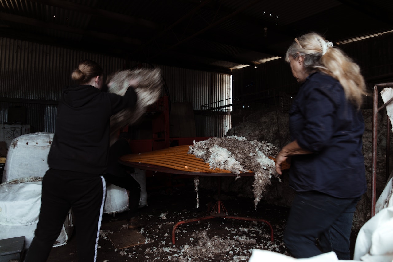 women - sheering
