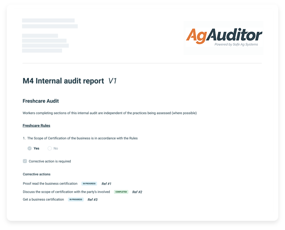 Audit-report2