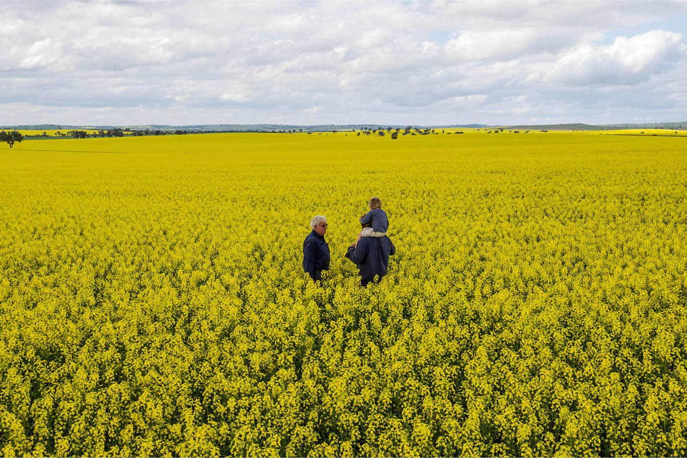 Family in Canola field