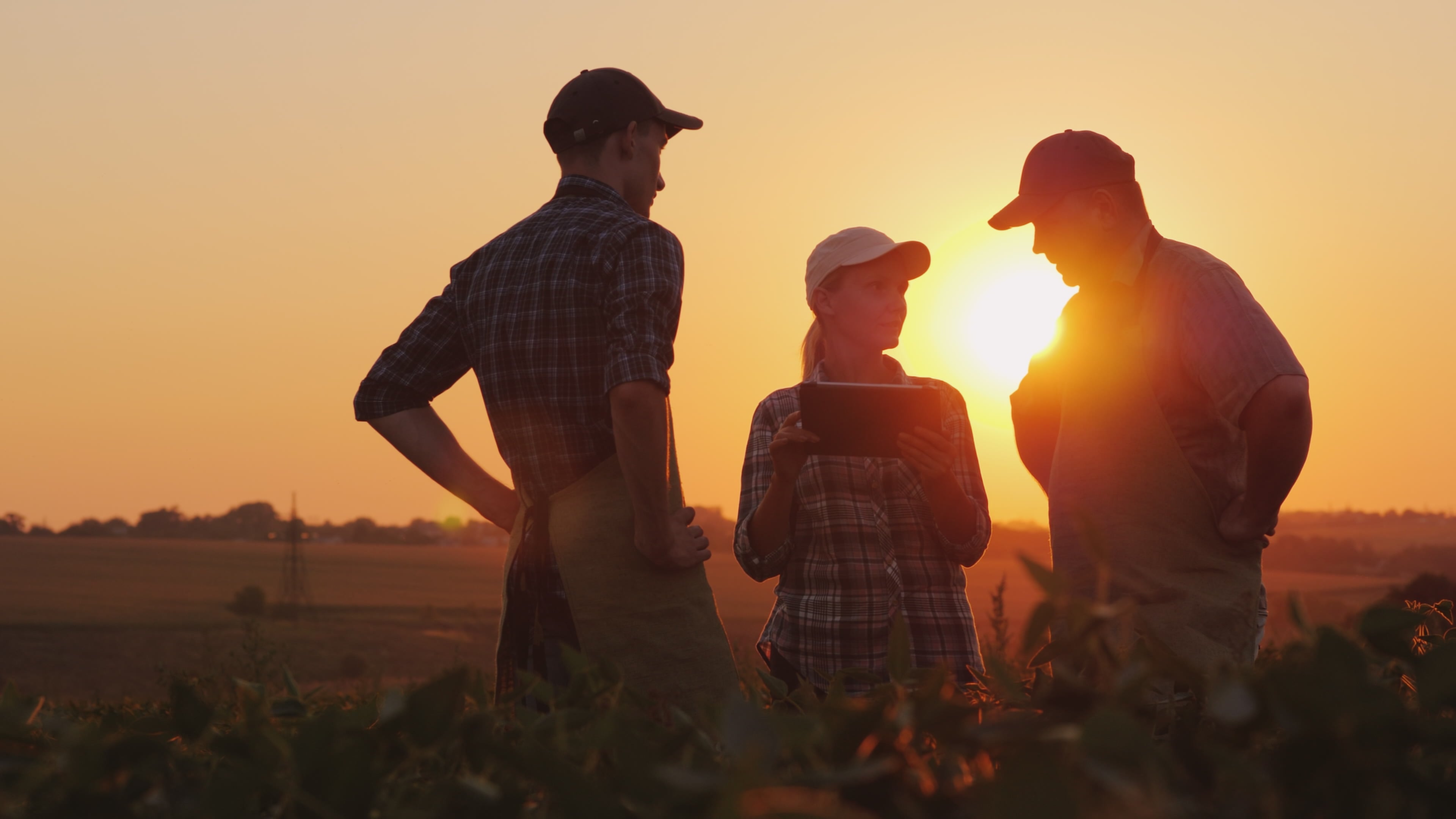 Farm safety, engaged workers