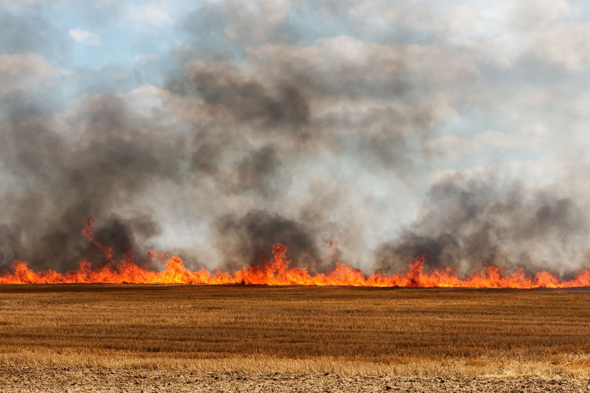 Fire emergency plan harvest