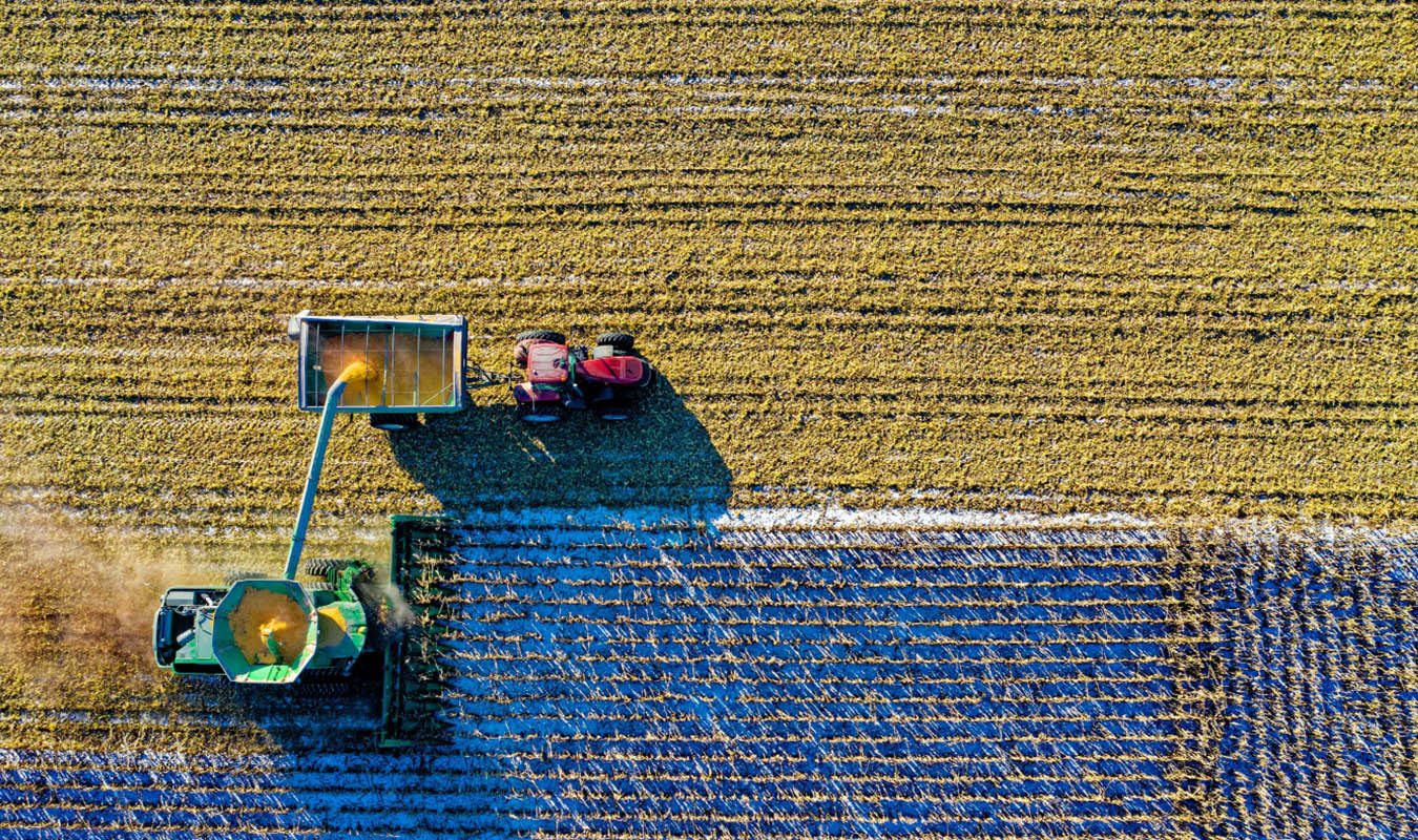 paddock, tractor, auger