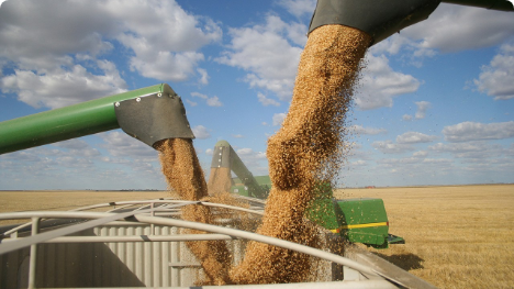 Grain auger one of the most dangerous pieces of equipment on a farm