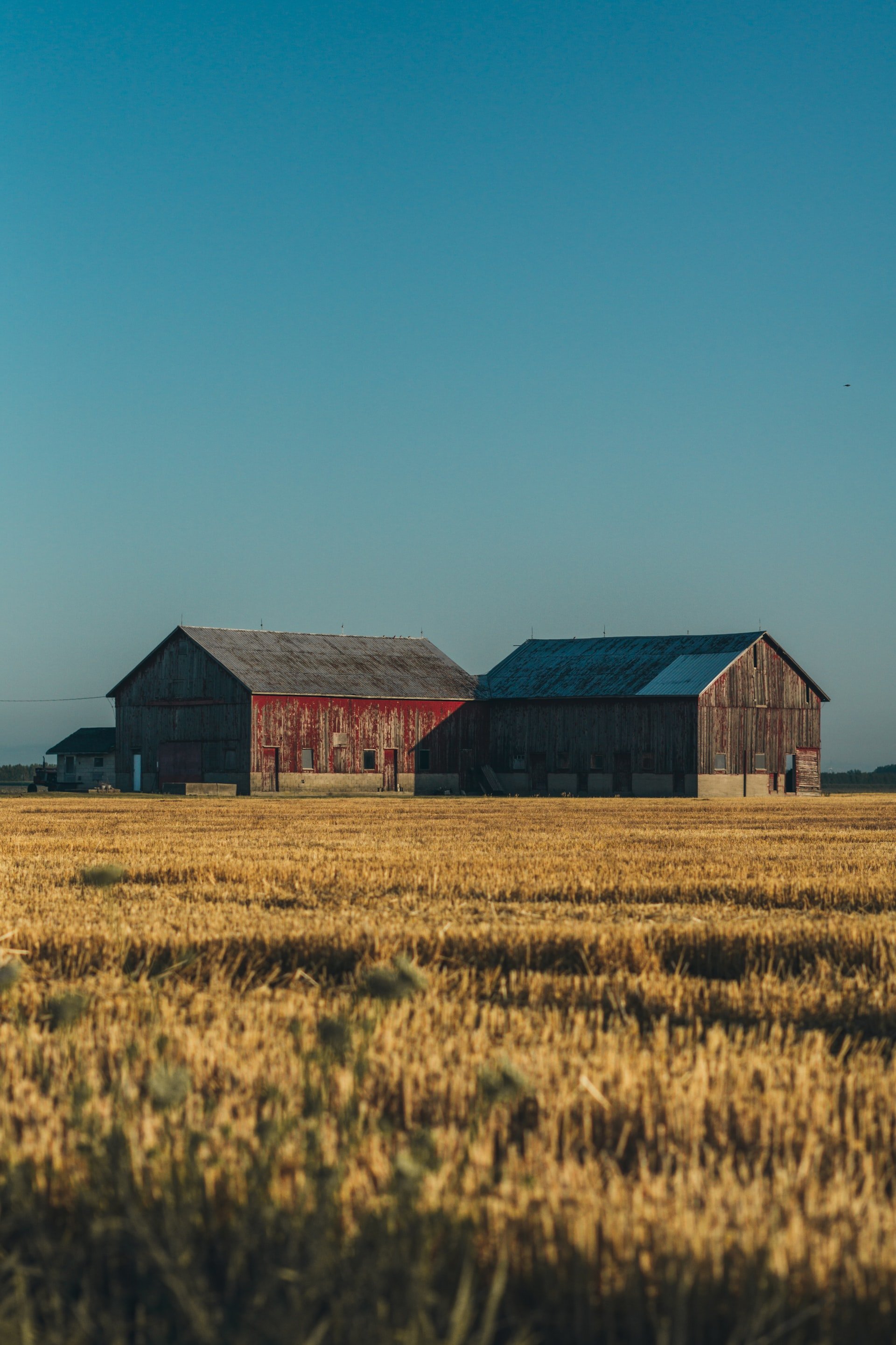 Canadian Farmhouse
