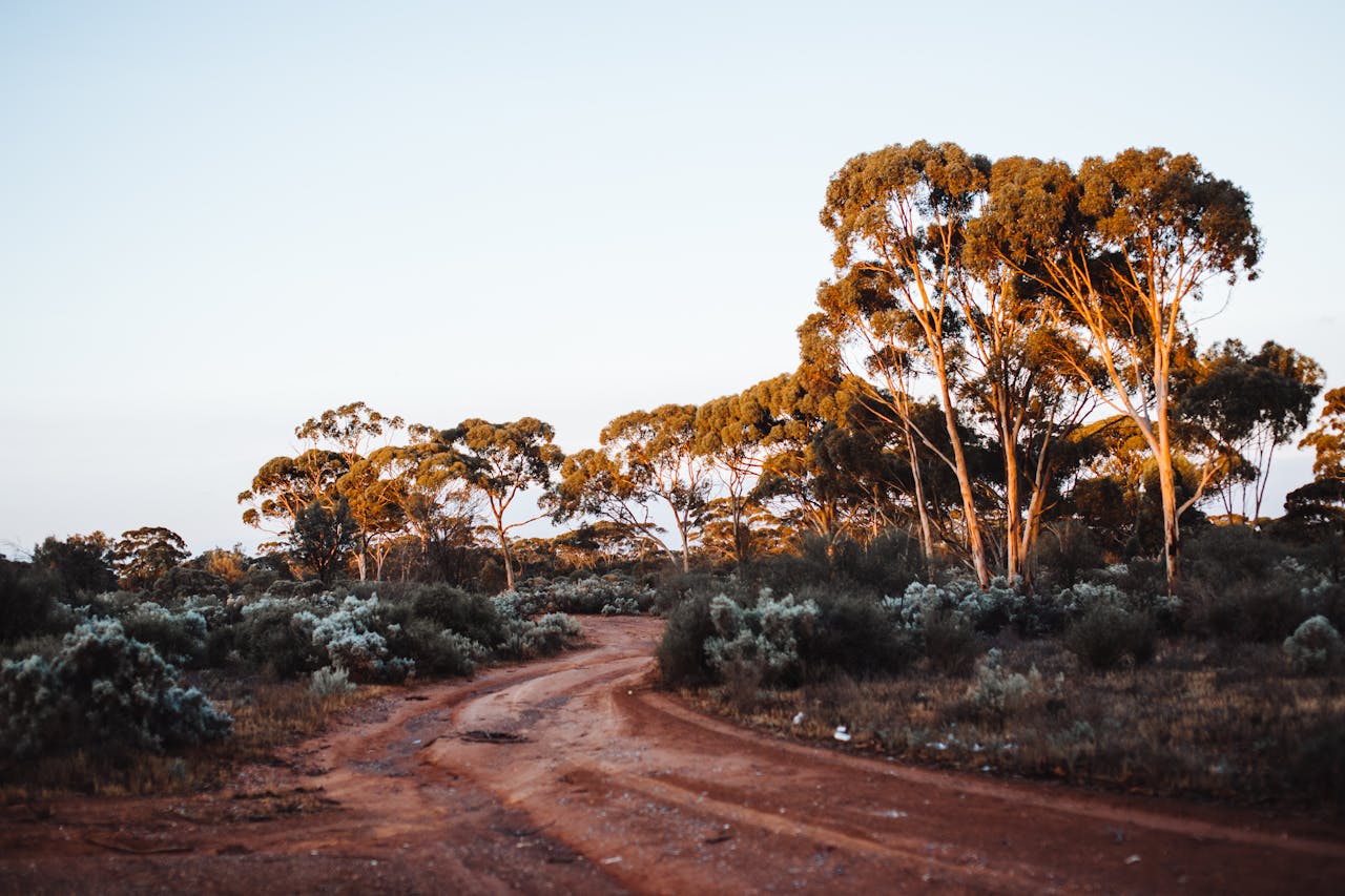 outback trail, pathway